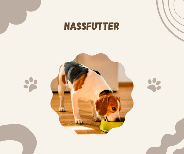 Nassfutter für Hunde - Pawschow