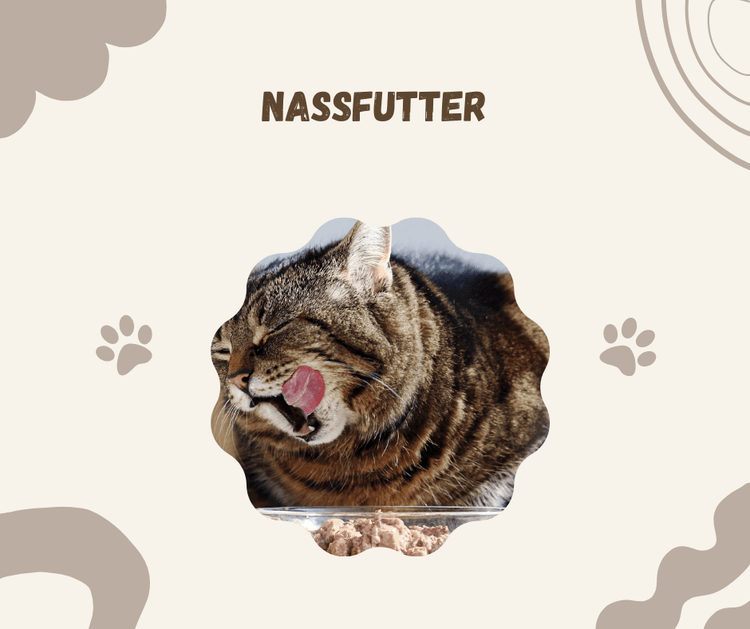 Nassfutter für Katzen - Pawschow