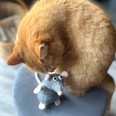 Aumüller Katzenspielzeug Ratte Cedric mit Baldrian