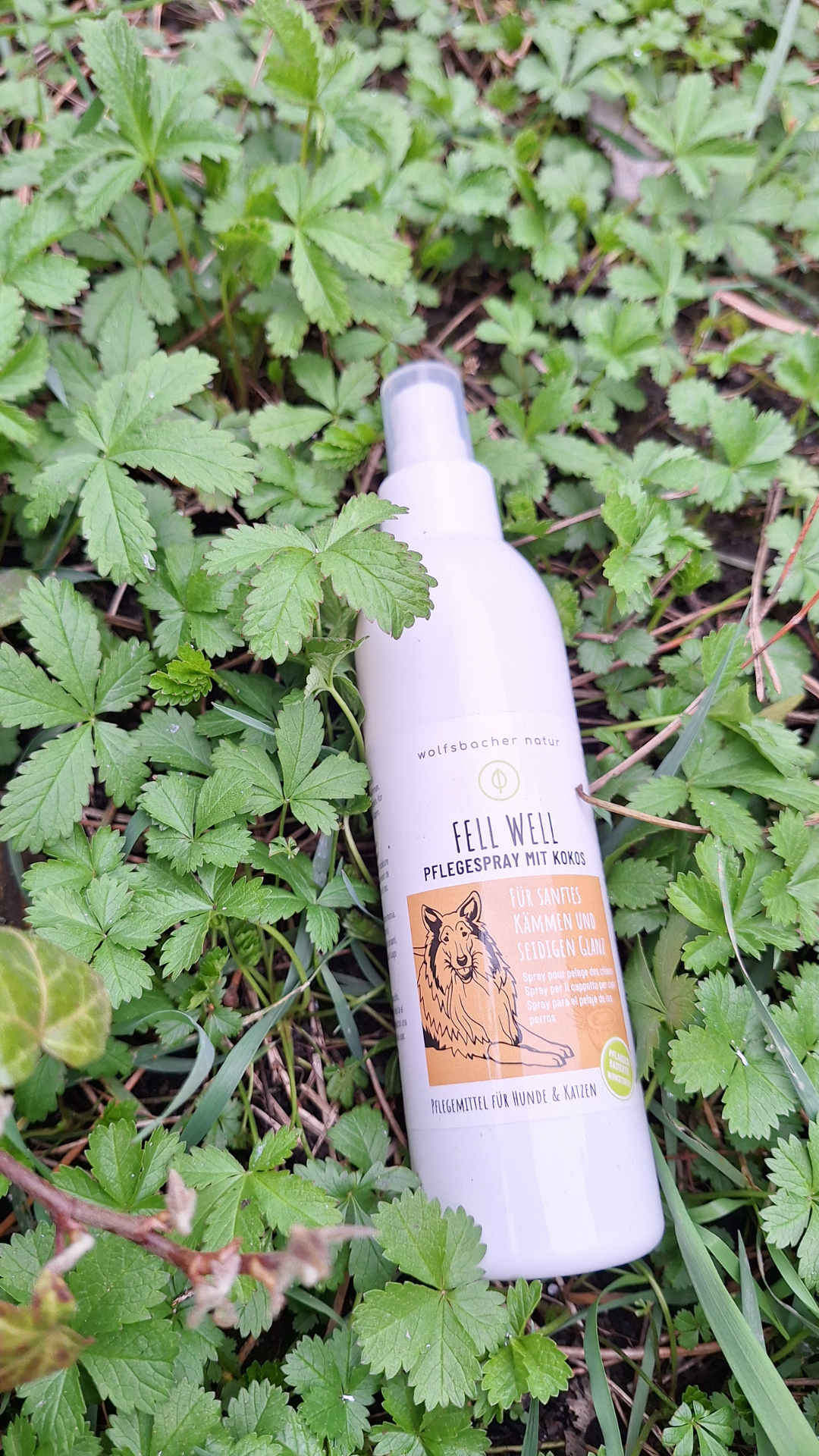 Fellwell Kämmhilfe und Entfilzungsspray