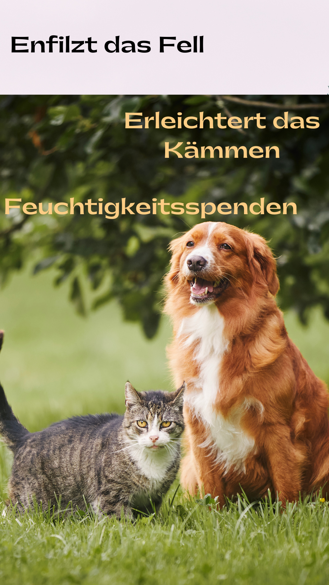 Fellwell Kämmhilfe und Entfilzungsspray