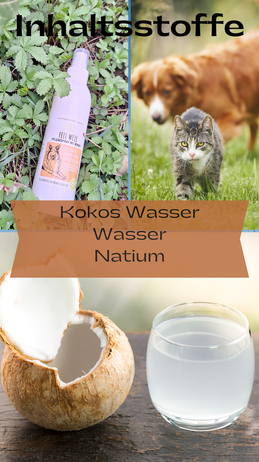 Fellwell Kämmhilfe und Entfilzungsspray