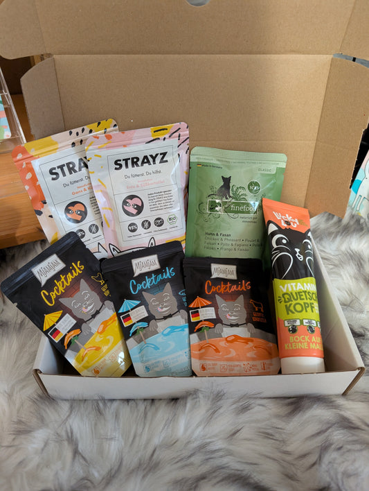 Pfötchenmysterybox Catediton