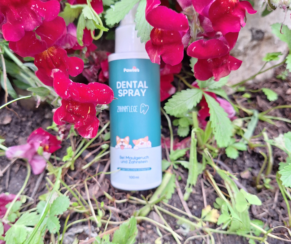 Dentalspray von Pawlies