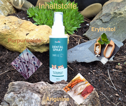 Dentalspray von Pawlies