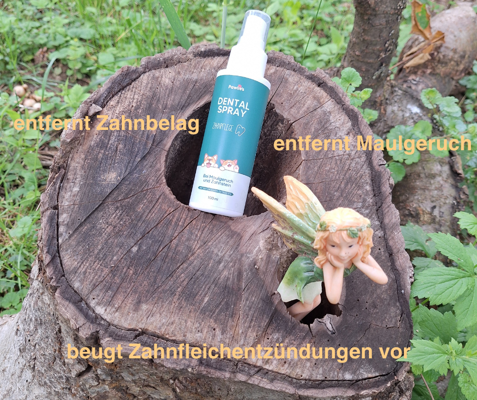 Dentalspray von Pawlies