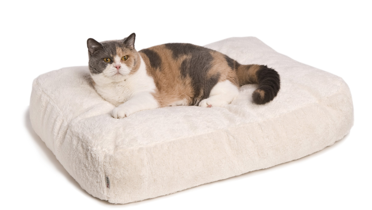 Katzenbett - Feline Futon
