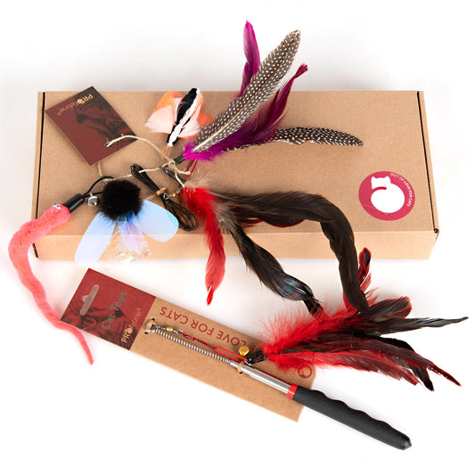 Das Katzenangel - Set - Flutter Fun von Profeline - Pawschow Katzenspielzeug