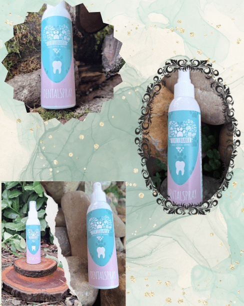 Dental Spray von Tierliebhaber - Pawschow Zahnpflege