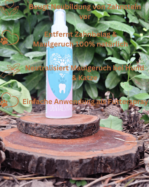 Dental Spray von Tierliebhaber - Pawschow Zahnpflege