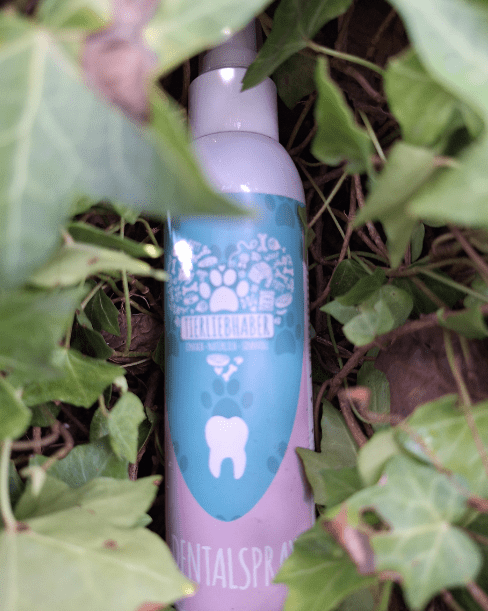 Dental Spray von Tierliebhaber - Pawschow Zahnpflege