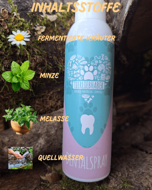 Dental Spray von Tierliebhaber - Pawschow Zahnpflege