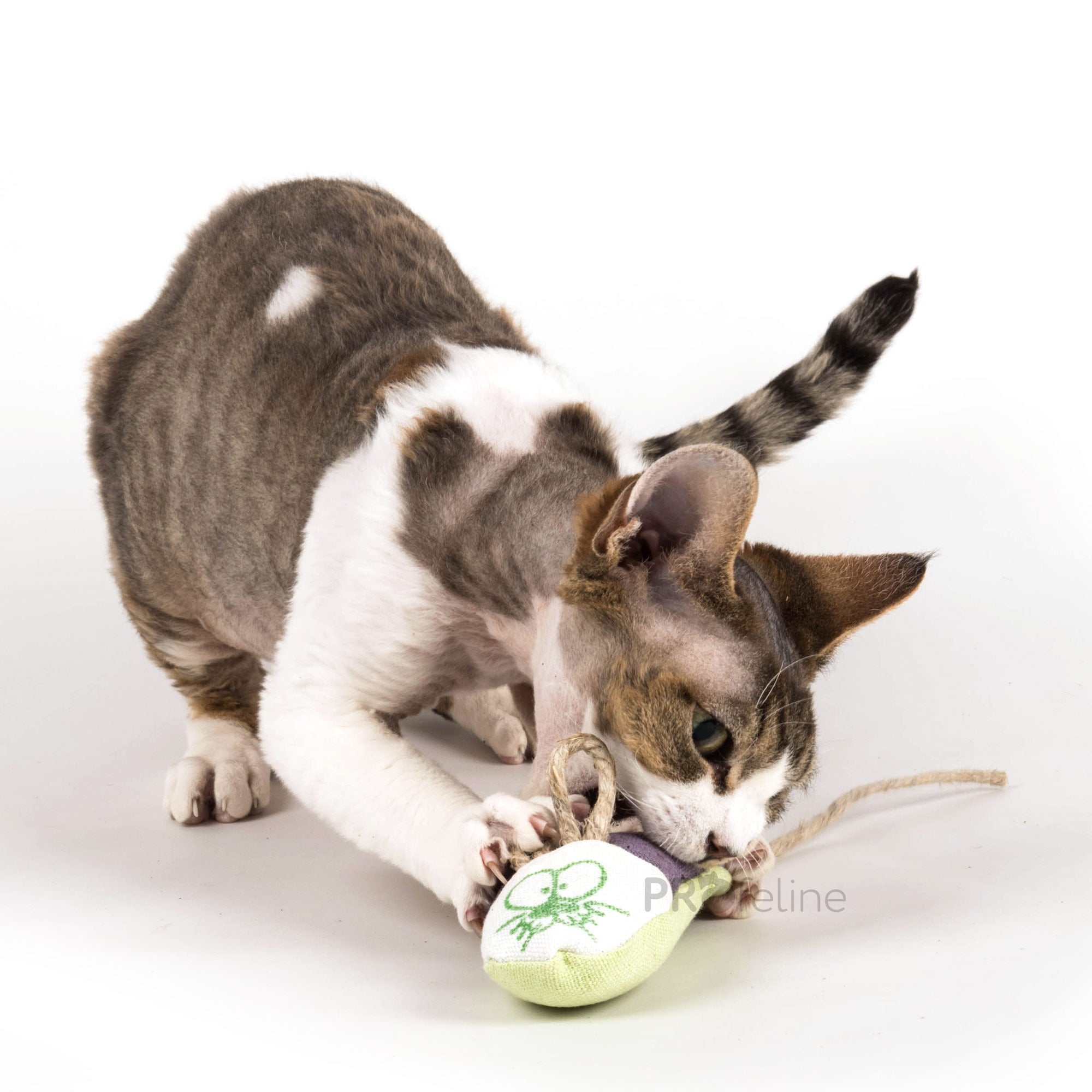From The Field - Shelby Refillable Hemp Mouse - Pawschow Katzenspielzeug