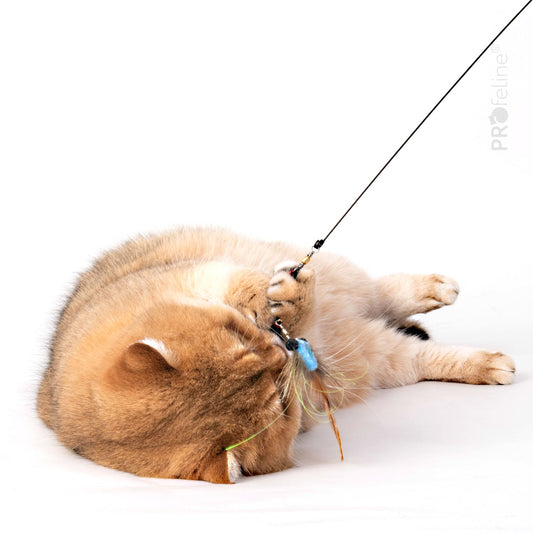 Glimmer Flies Refill / Anhänger - Pawschow Katzenspielzeug