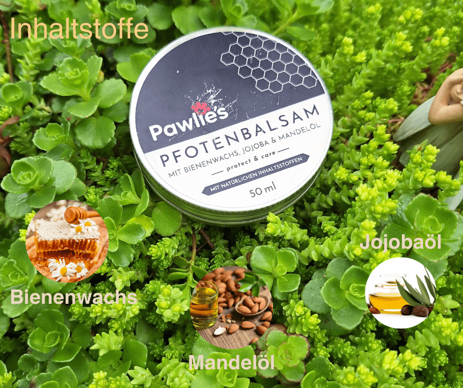 Pfotenbalsam - Pawschow Pfotenpflege