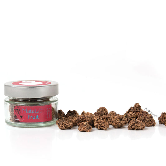Profeline - Matatabi Fruit - Pawschow Ergänzungsmittel