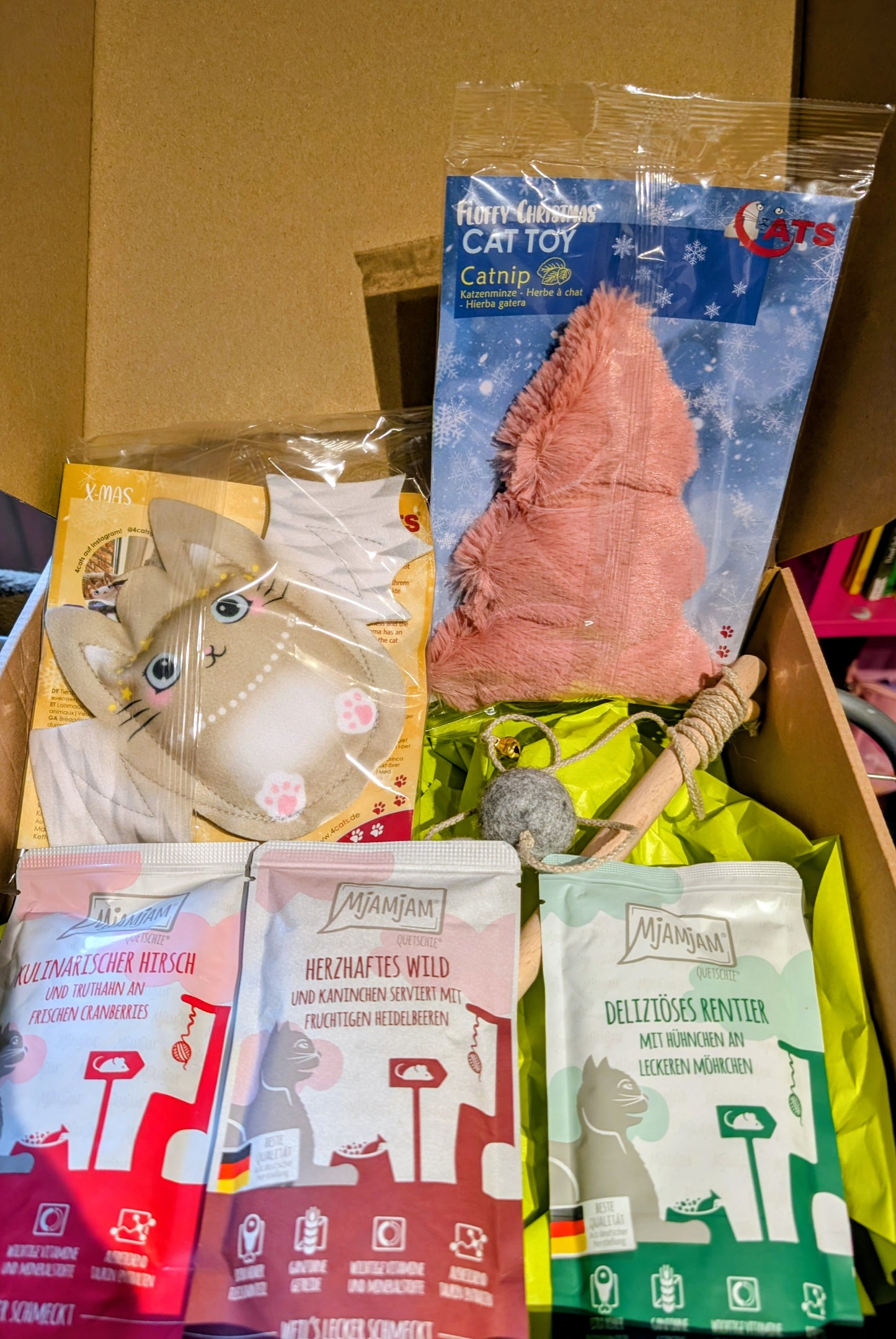 Weihnachtsbox für Katzen