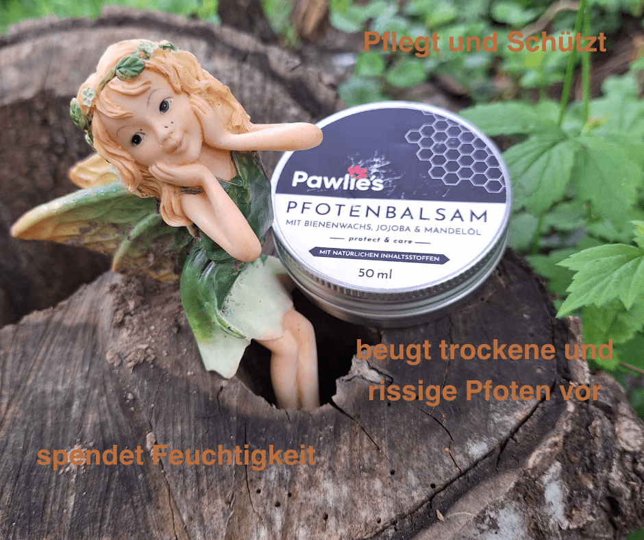Wellnessliebe - Hundebox - Pawschow Geschenkbox