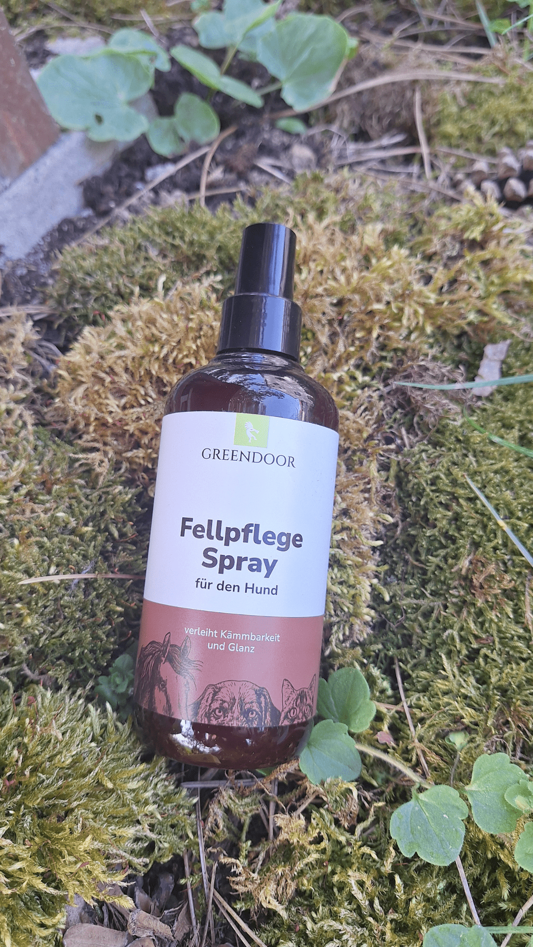 Wellnessliebe - Hundebox - Pawschow Geschenkbox