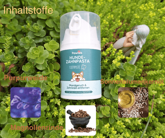 Zahnpasta - Pawschow Zahnpflege