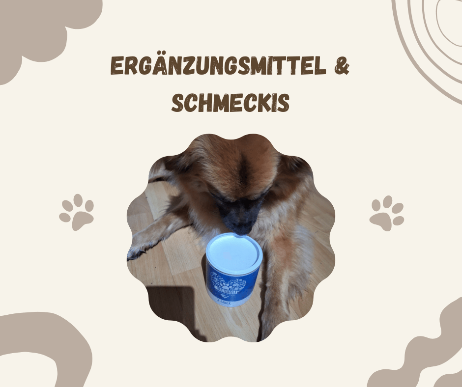 Funktionssnacks - Pawschow 