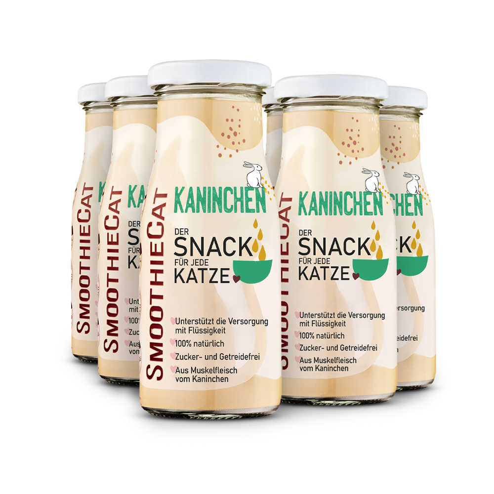 Smoothiecat Kanninchen