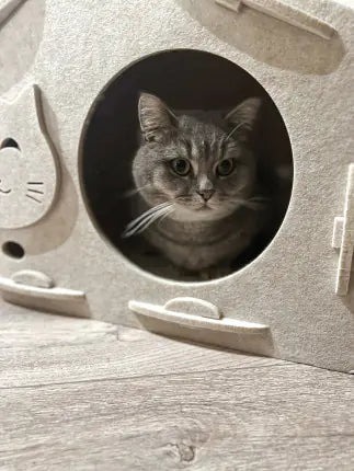 Aumüller Katzenhaus Feli 60 x 40 cm (vorbestellen)