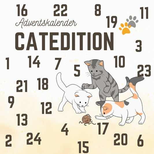 Adventskalender 2025 Catedition
