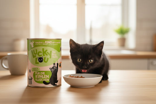 hochwertiges getreidefreies Katzen Kitten Nassfutter von Lucky ou