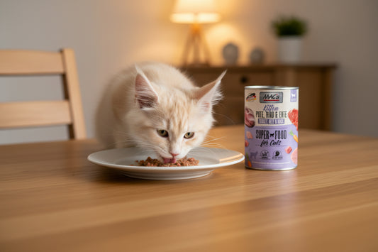 Katzen Kitten hochwertiges getreidefreies Nassfutter von Mac´s 