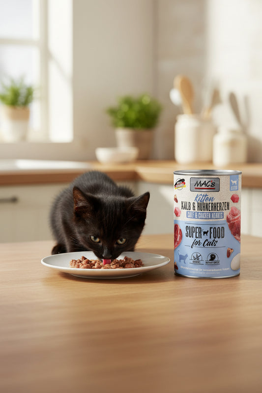Hochwertiges Kitten Nassfutter Mac´s