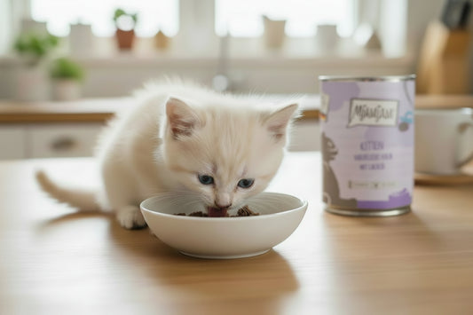 hochwertiges zuckerfreis Nassfutter von Mjamjam ür Kitten