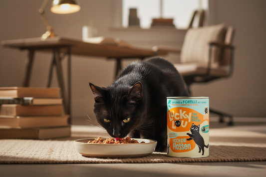 hochwertiges Nassfutter Katzen von Lucky Lou 