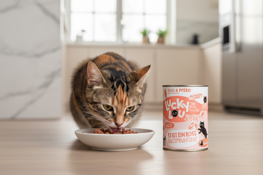 hochwertiges getreidefreies Nassfutter Katzen senetiv von Lucky Lou
