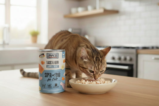 hochwertige getreidefreies Nassfutter für Katzen