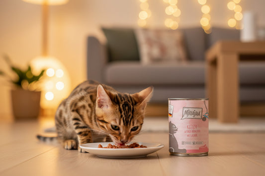 zugerfreies hochertiges Nassfutter für Kitten von Mjamjam