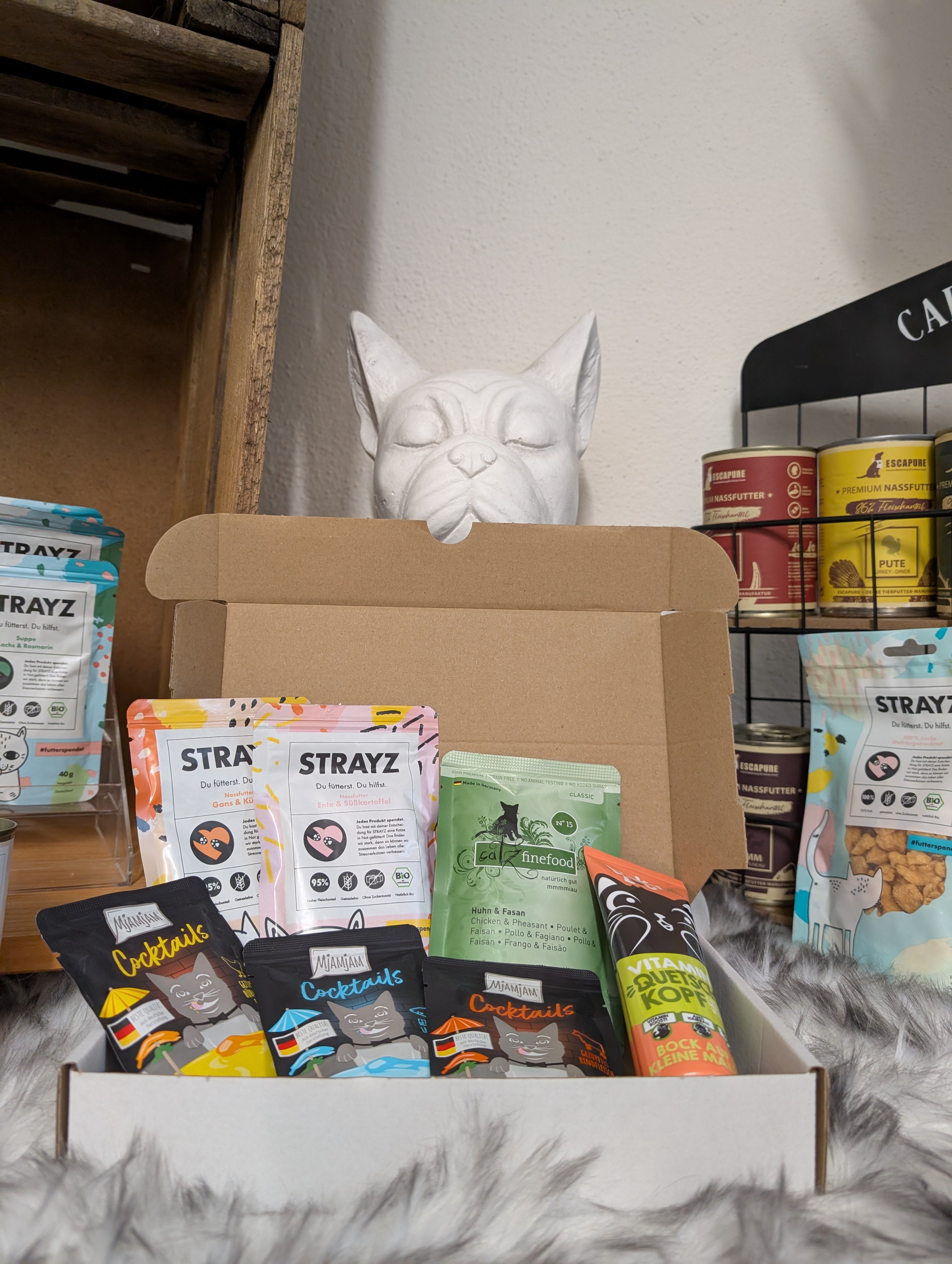 Pfötchen Mysterybox Cat Edition