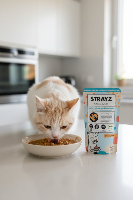 hochwertiges Nassfuter Katzen von Strayz Lachs, Huhn und Kürbis