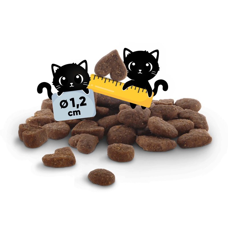 Lucky Lou Food Code Lifestage Adult Geflügel & Insekten
