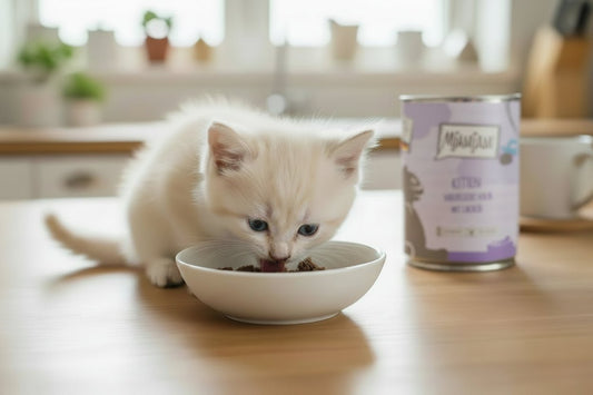 Probierpaket Kitten - PawschowNassfutter