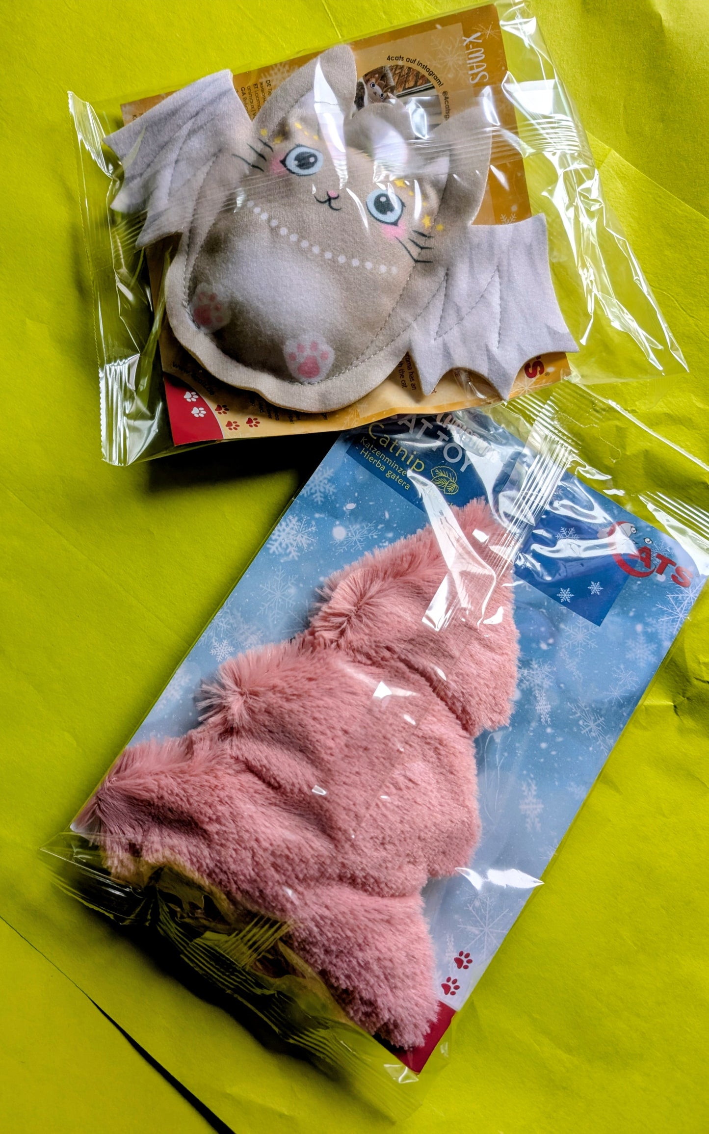 Weihnachtsbox für Katzen