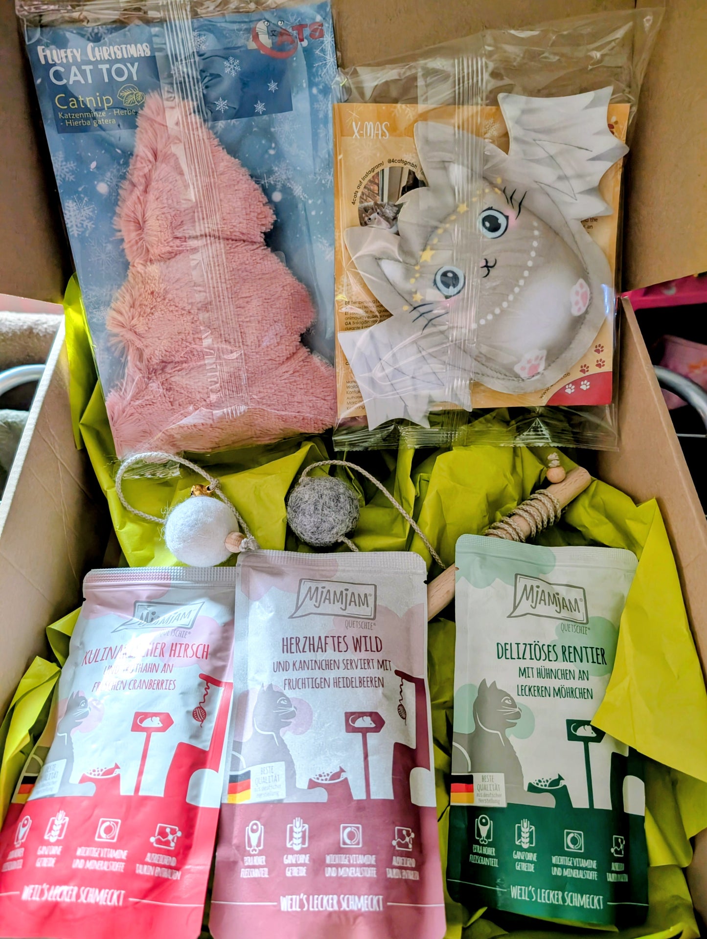 Weihnachtsbox für Katzen